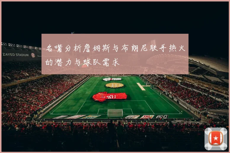 名嘴分析詹姆斯与布朗尼联手热火的潜力与球队需求